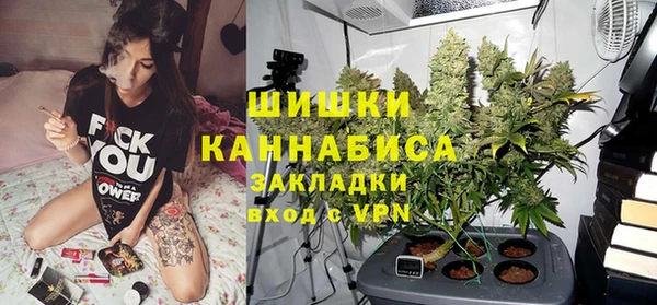 стаф Богородицк