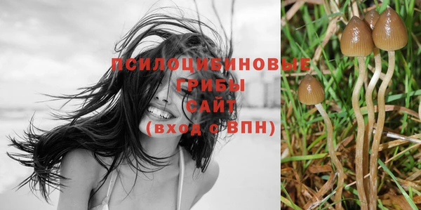 a pvp Беломорск