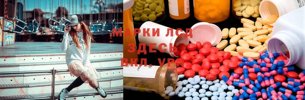 стаф Богородицк