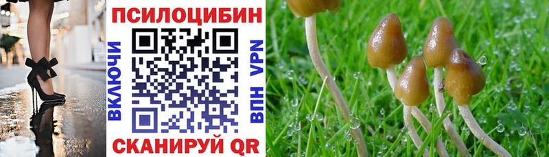 Галлюциногенные грибы Magic Shrooms  Вышний Волочёк 